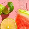 imageeos Natural Shea Lip Balm Honey Apple Coconut Milk ampamp Raspberry Kiwi Splash AllDay Moisture Lip Care Products 014 oz 3PackWatermelon Fros