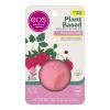Strawberry Sorbet
