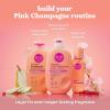 imageBundle of eos Cashmere Lip Butter  Vanilla Cashmere Plumping Peptides Smoothing 035 fl oz  Shea Better Body Lotion Vanilla Cashmere 24Hour Moisture Skin Care Body Lotion 16 fl ozPink Champagne