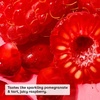 image:imageeos 100 Natural Lip Balm  Strawberry Sorbet and Pomegranate Raspberry AllDay Moisture Lip Care Products 014 oz 2PackPomegranate Raspberry  Strawberry Sorbet